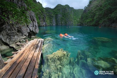 palawan island fishing resorts|THE 10 BEST Palawan Island Fishing Charters & Tours.